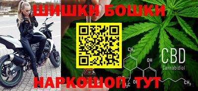 хмурый Гатчина