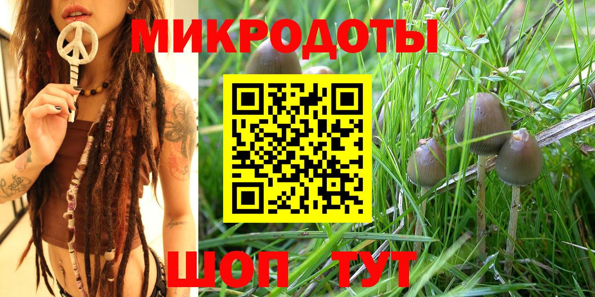 Галлюциногенные грибы Cubensis Видное
