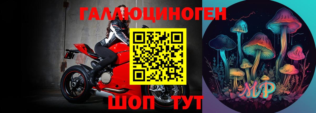 Галлюциногенные грибы Psilocybe  Вход с VPN  Видное 